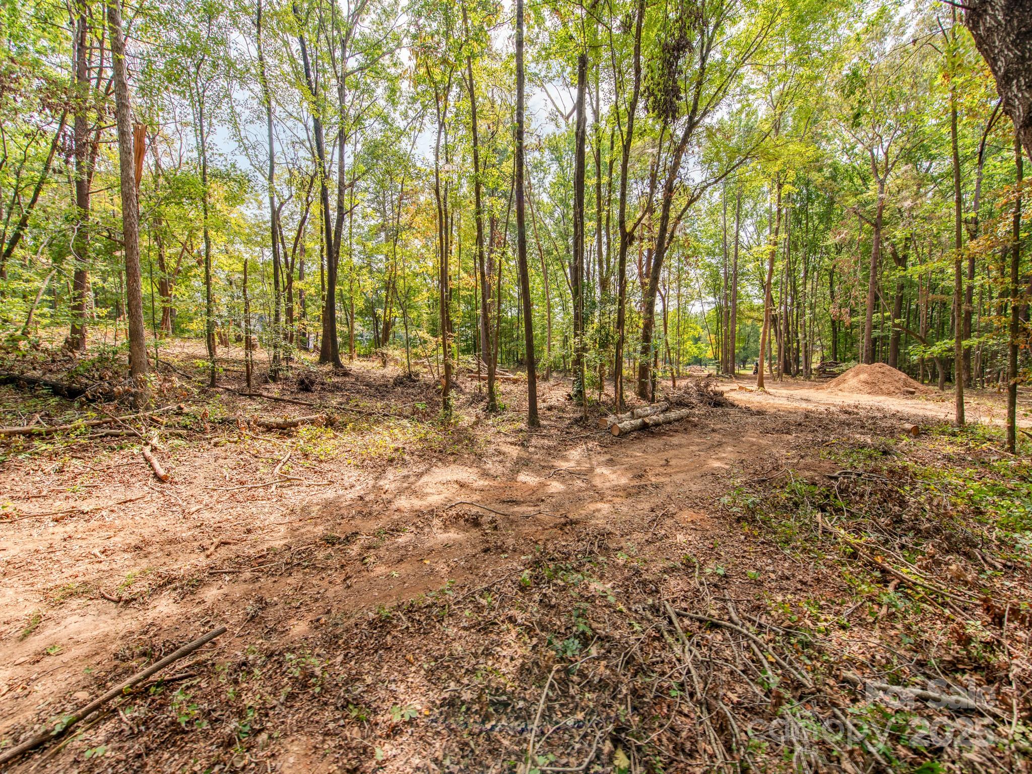 481 Eupeptic Springs Road, Unit LOT 5 Olin, NC 28660 - Photo 6 of 20 a view of outdoor space with trees