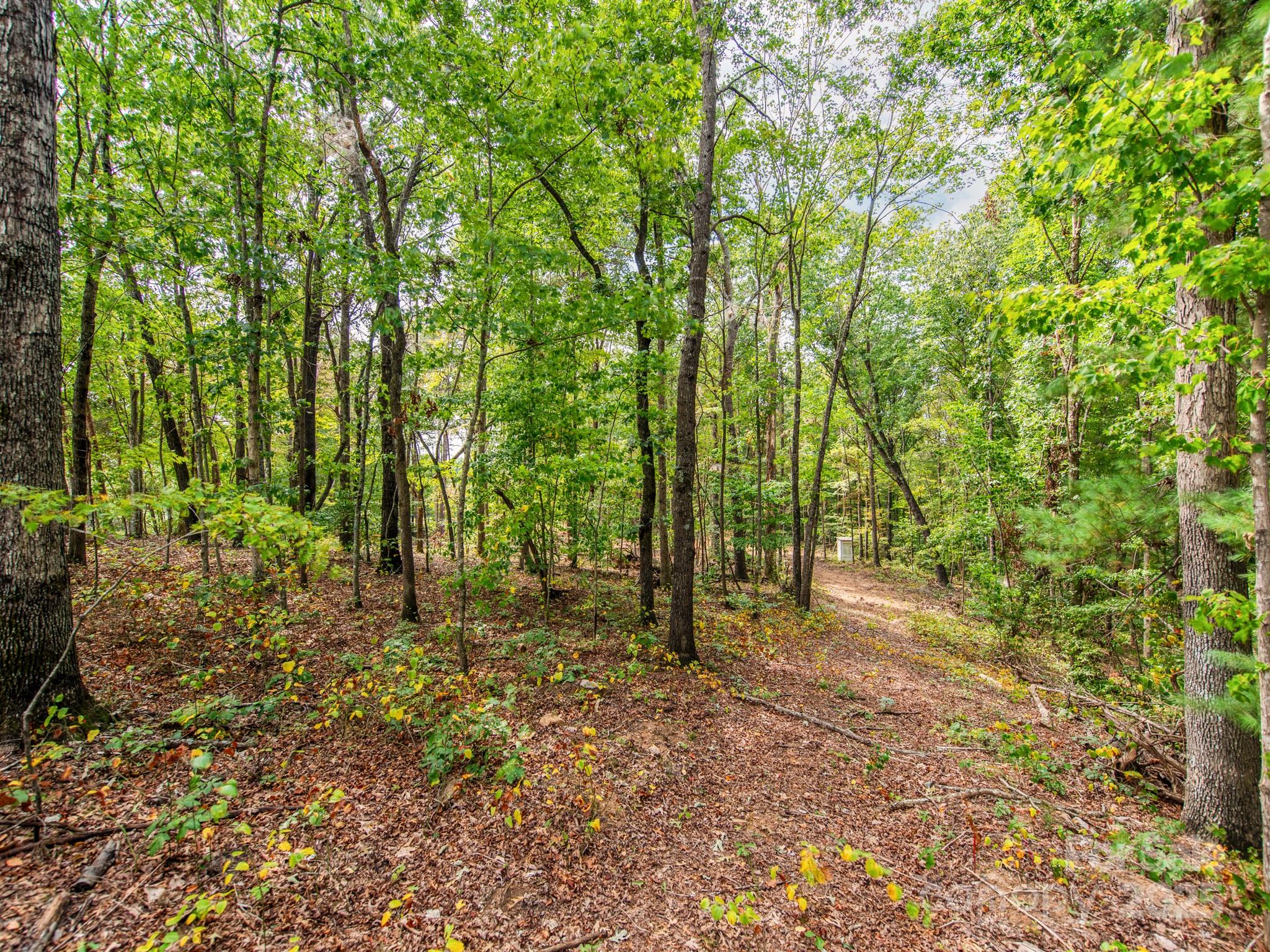 481 Eupeptic Springs Road, Unit LOT 5 Olin, NC 28660 - Photo 7 of 20 a backyard of a house with lots of green space