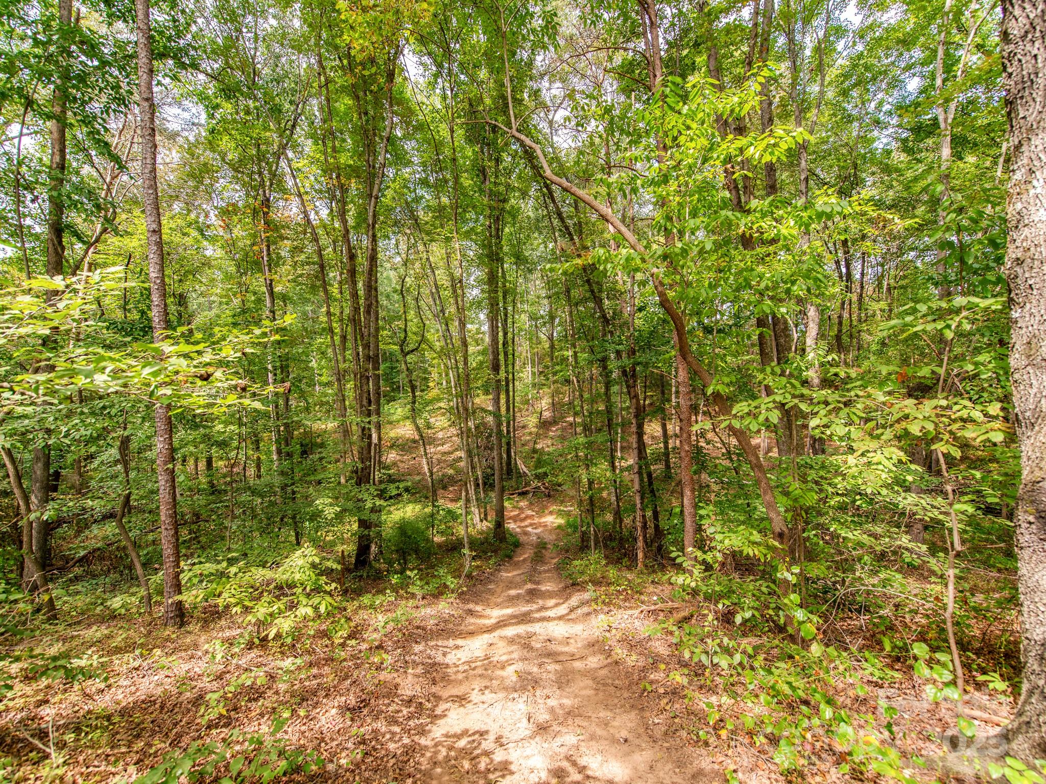 481 Eupeptic Springs Road, Unit LOT 5 Olin, NC 28660 - Photo 8 of 20 a view of a pathway of a building