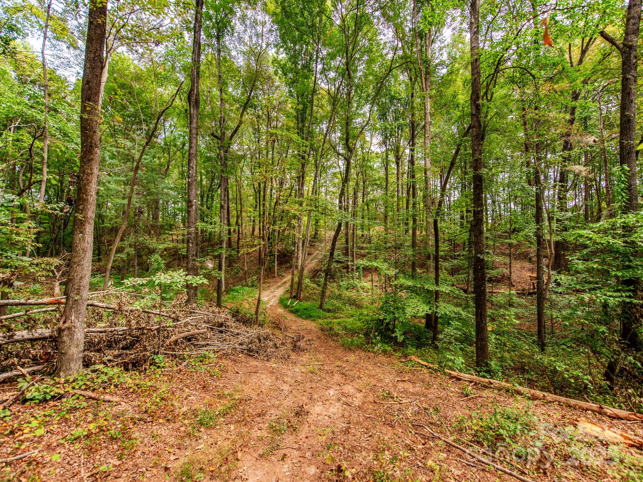 481 Eupeptic Springs Road, Unit LOT 5 Olin, NC 28660 - Photo 9 of 20 a view of under construction area