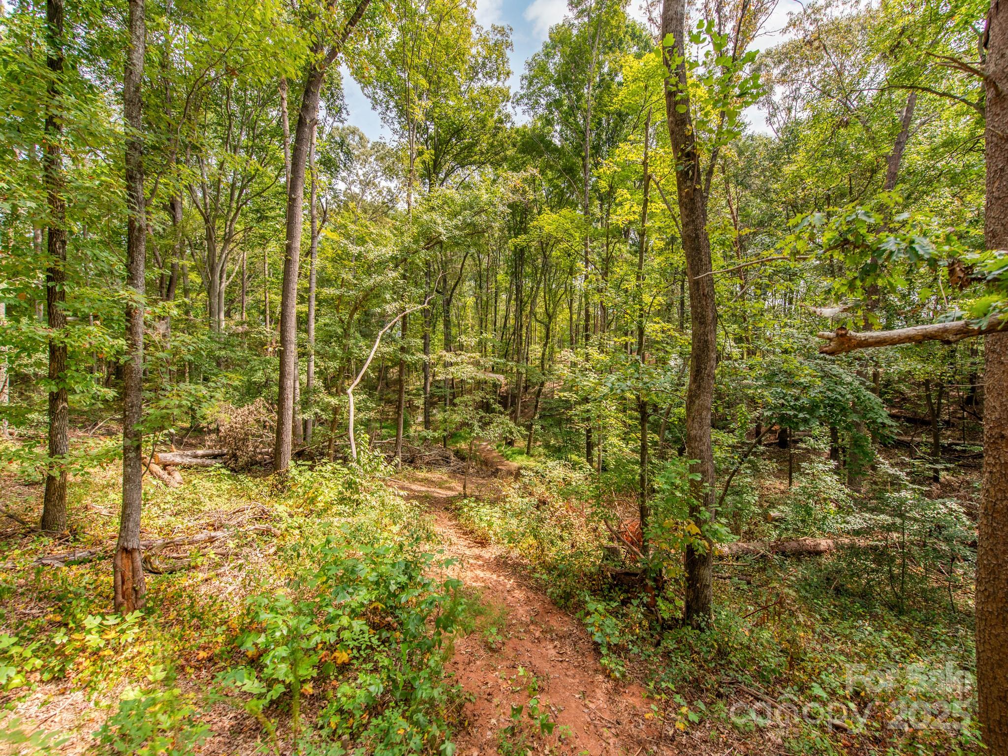 481 Eupeptic Springs Road, Unit LOT 5 Olin, NC 28660 - Photo 10 of 20