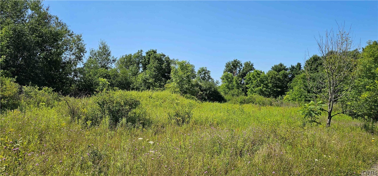 Ferguson Road Dryden, NY 13053 - Photo 12 of 19 Gallery Image 12