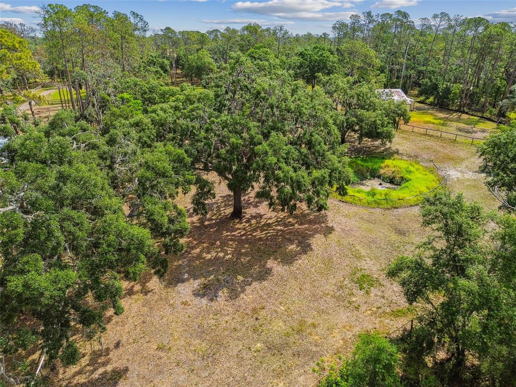 2853 Saffold Road Wimauma, FL 33598 - Photo 50 of 62 a view of a garden with an outdoor space