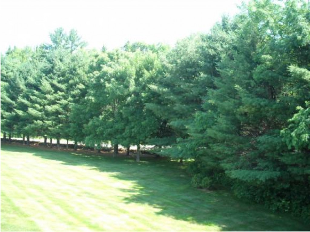 32 Meadowbrook Villiage, Unit 32 Rochester, NH 03867 - Photo 5 of 8