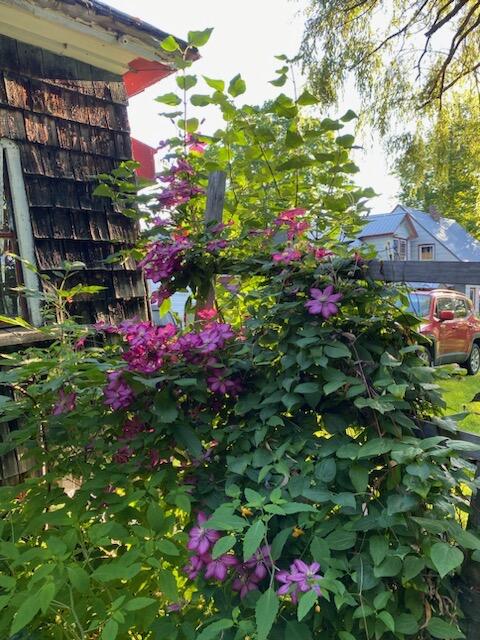 18 Center Street Monson, ME 04464 - Photo 26 of 42 IMG_7613