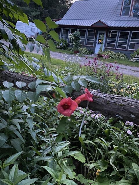 18 Center Street Monson, ME 04464 - Photo 27 of 42 IMG_7722