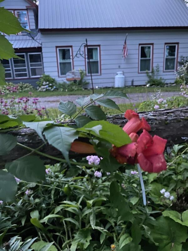 18 Center Street Monson, ME 04464 - Photo 28 of 42 IMG_7723
