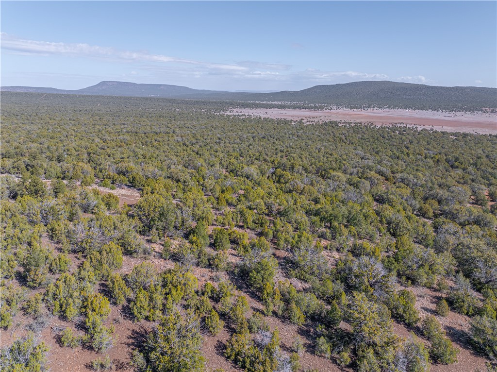 34745 West Running Shadow Road Seligman, AZ 86337 - Photo 20 of 52