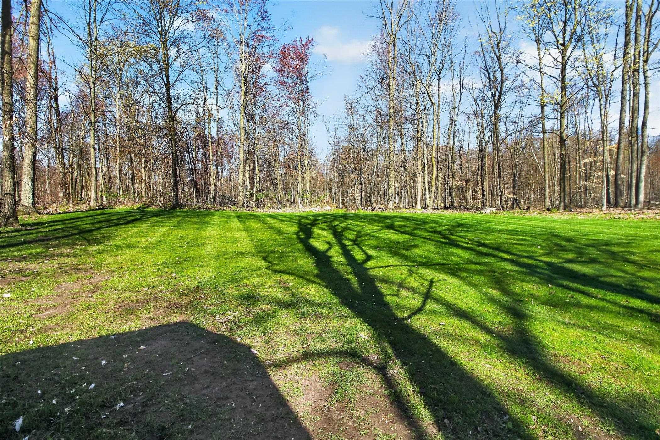 4537 North Caris Road Edmore, MI 48829 - Photo 40 of 42