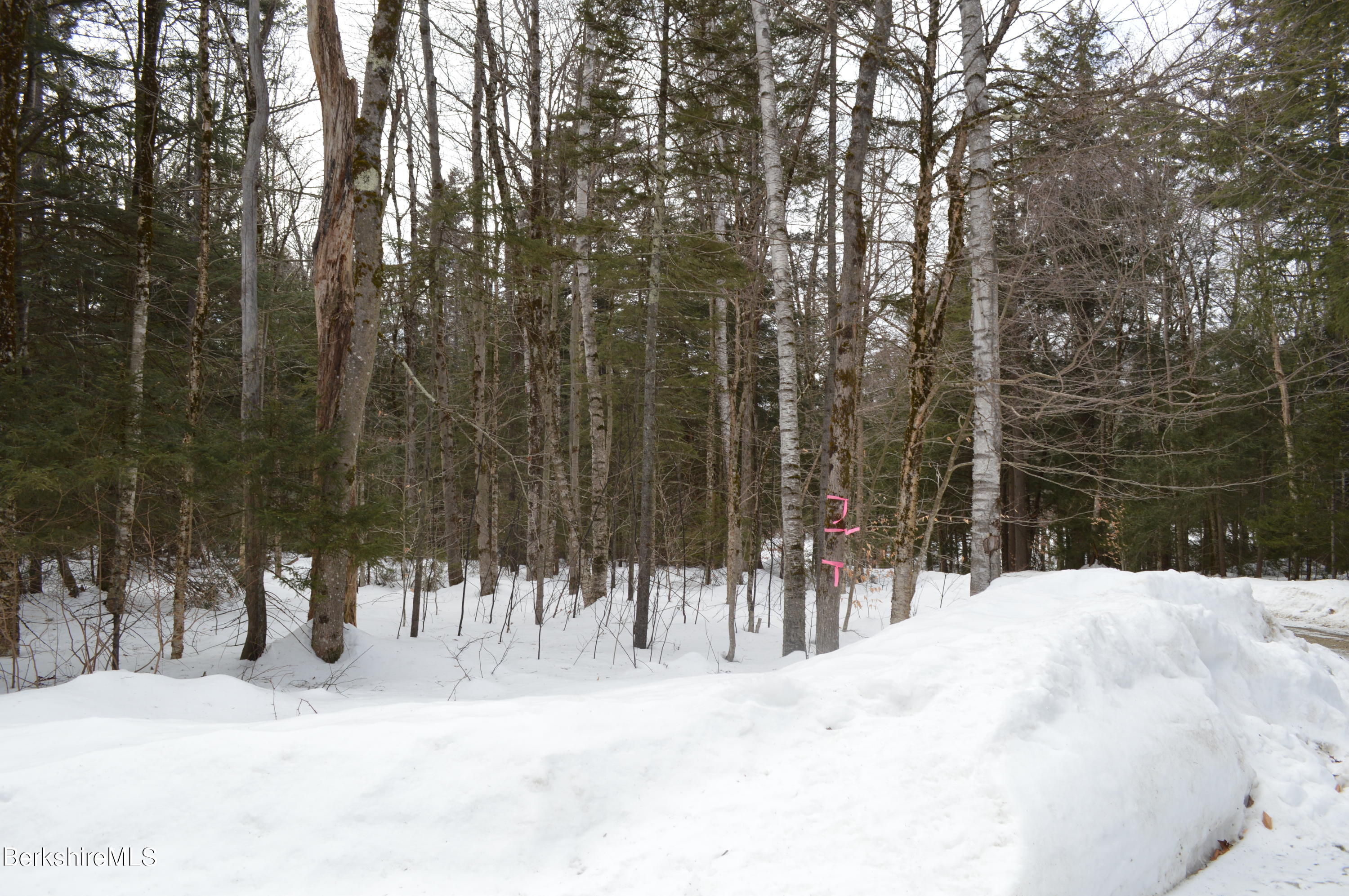 309 Woodmere Road Becket, MA 01223 - Photo 3 of 11 a view of a park with snow