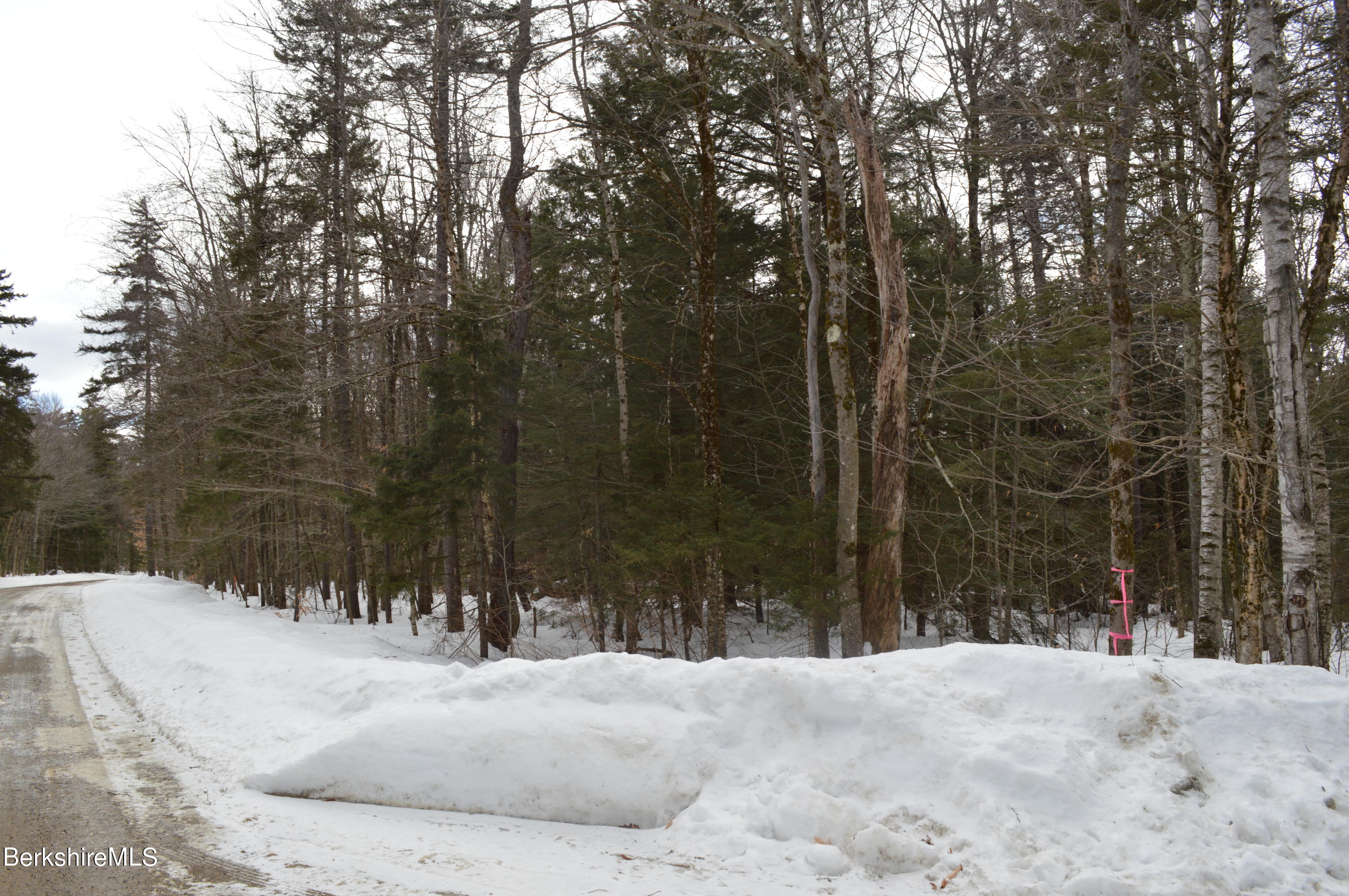 309 Woodmere Road Becket, MA 01223 - Photo 4 of 11 a view of a house with a snow in the yard
