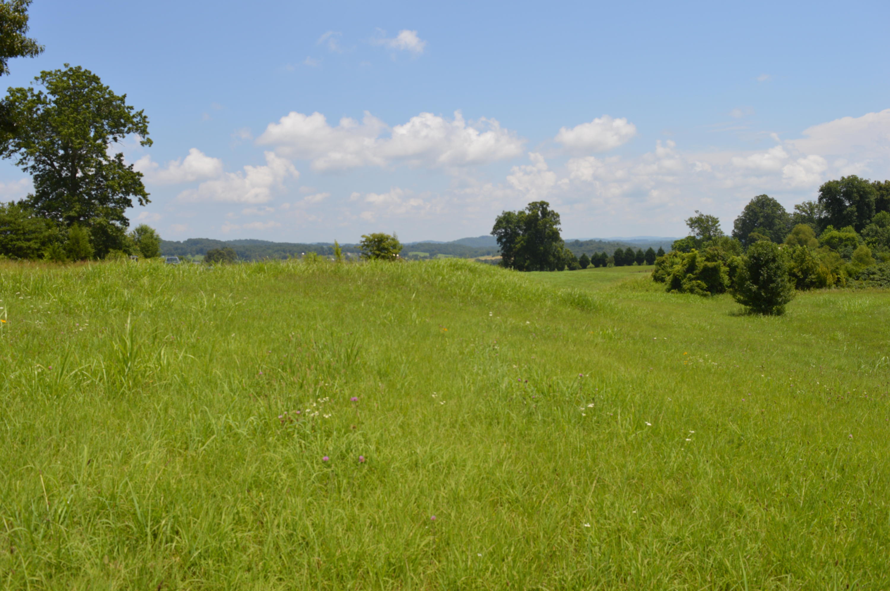 Ranch Road Blaine, TN 37709 - Photo 1 of 9 Lot 27 looking to mountains