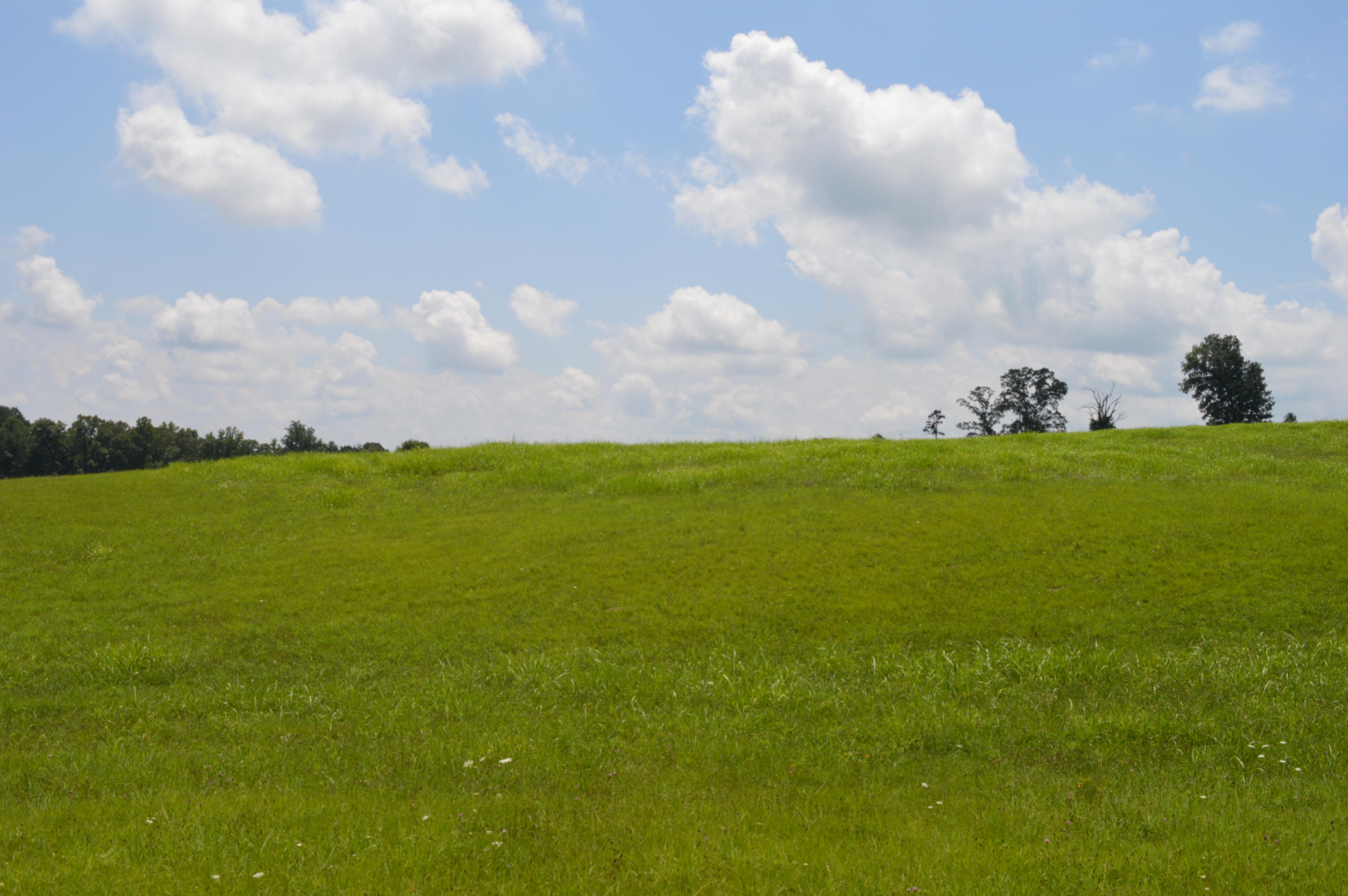 Ranch Road Blaine, TN 37709 - Photo 2 of 9 Lot 27