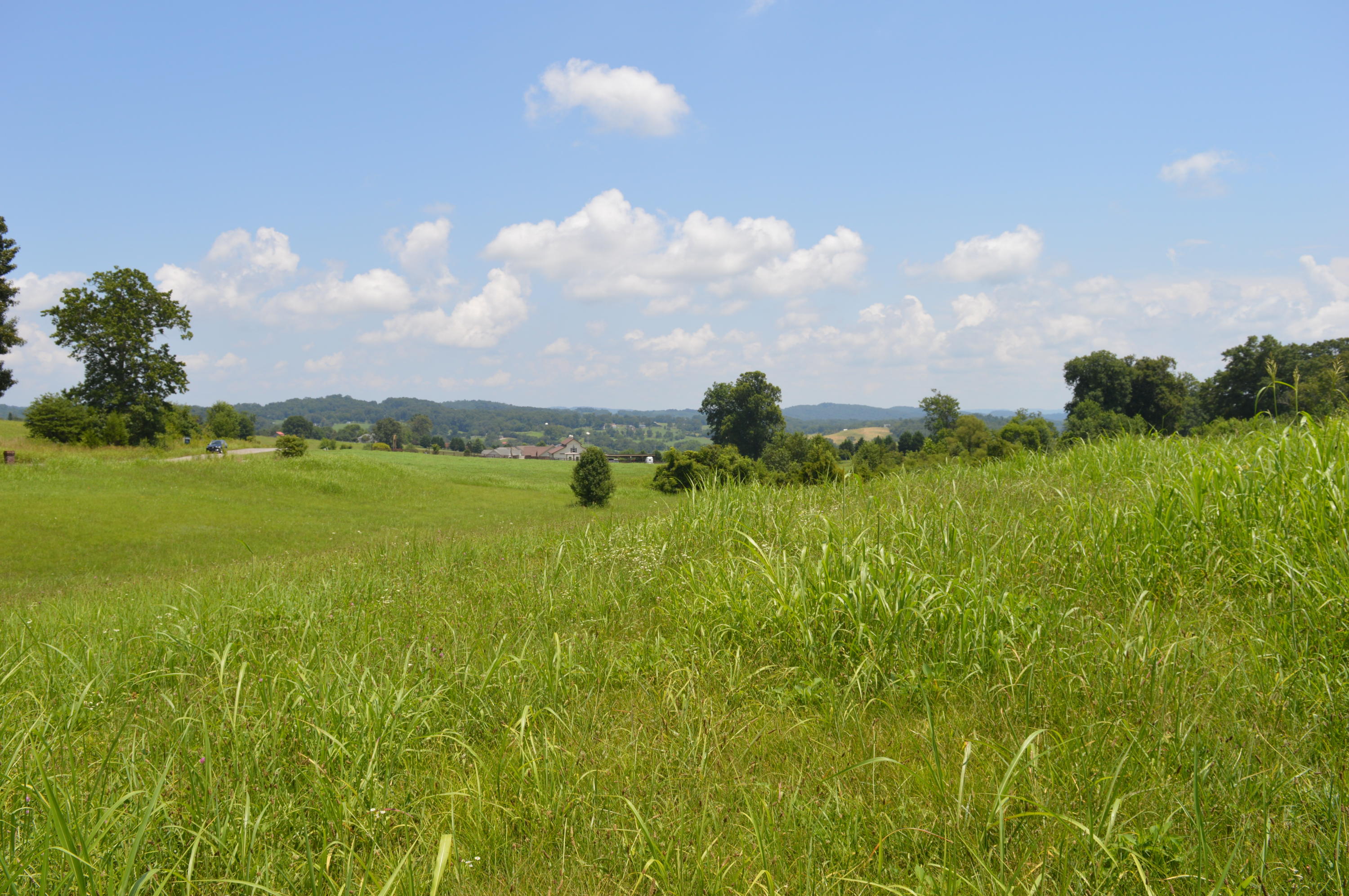 Ranch Road Blaine, TN 37709 - Photo 3 of 9 Lot 27 view