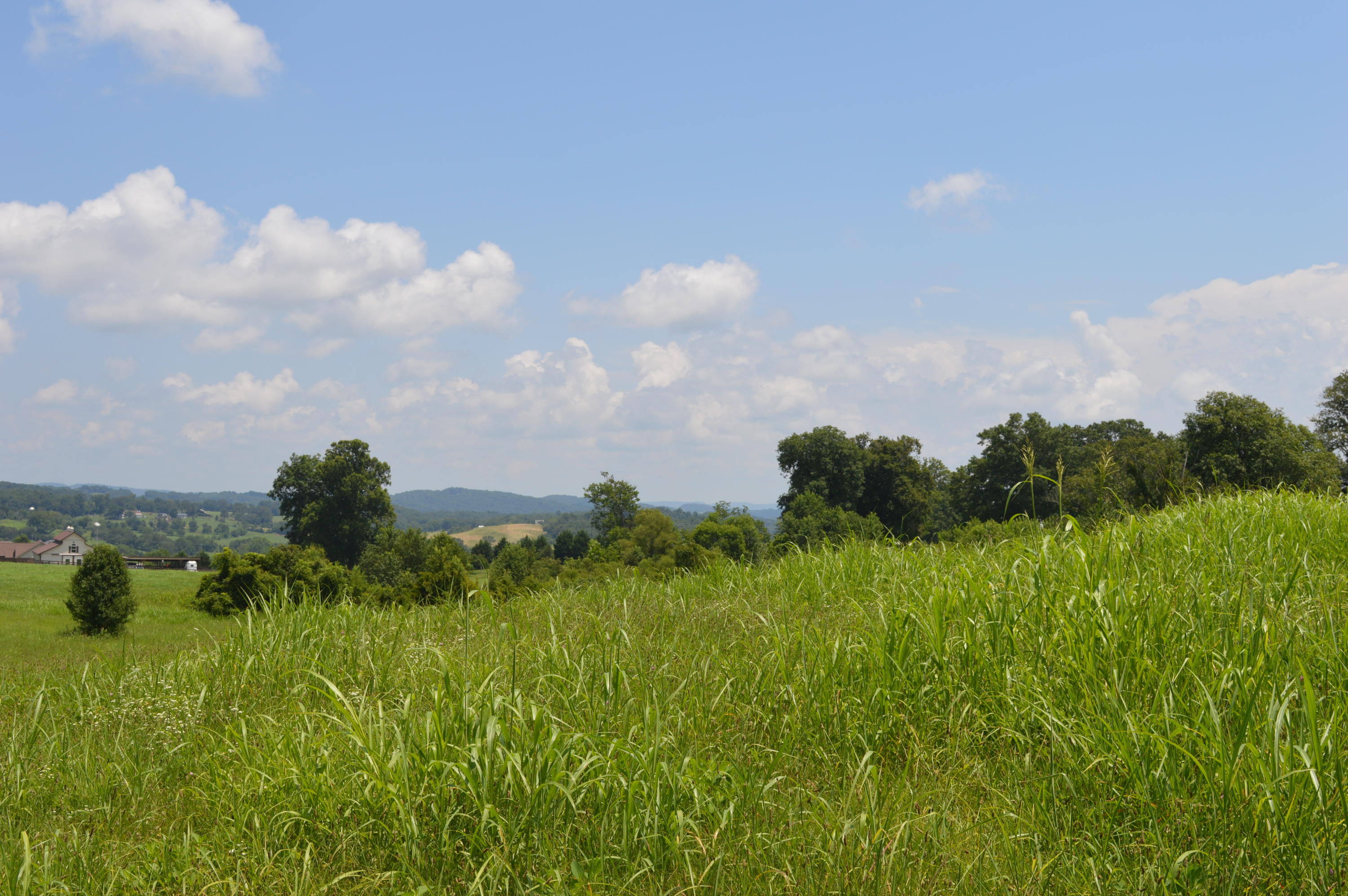 Ranch Road Blaine, TN 37709 - Photo 4 of 9 Lot 27 view
