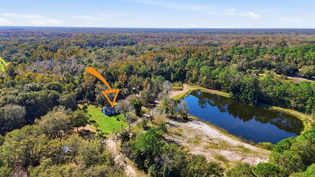 270 Wright Grove Road Oak Hill, FL 32759 - Photo 4 of 13 an aerial view of residential house with outdoor space and trees all around