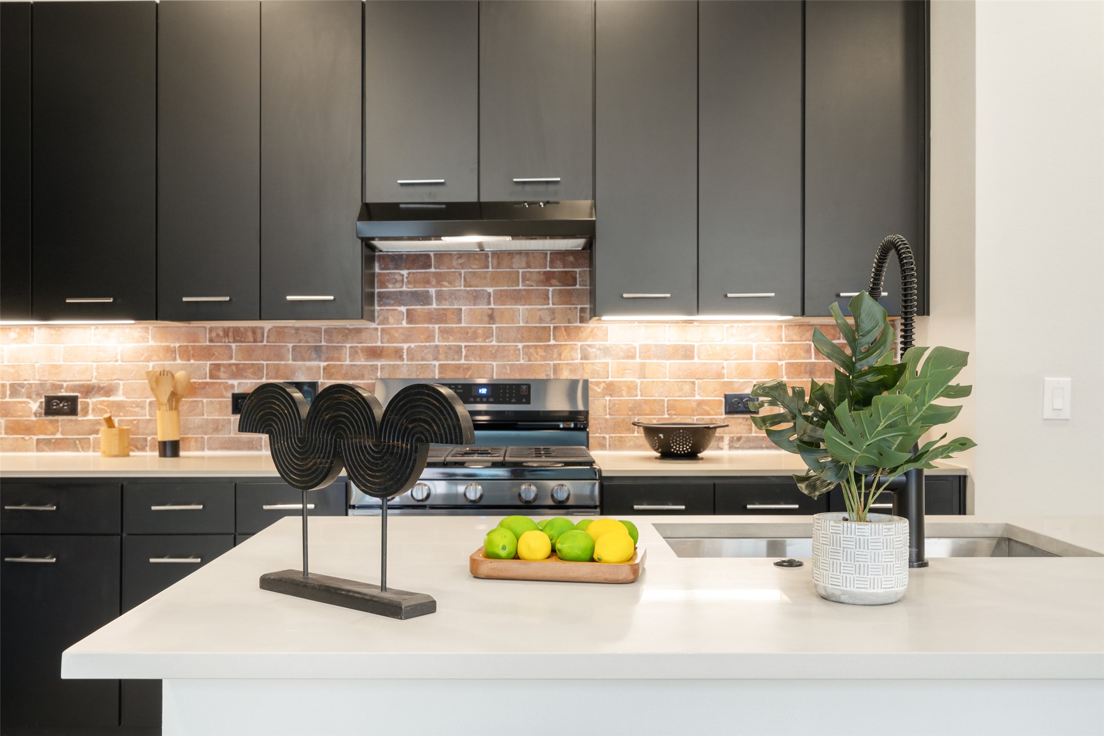 4510 Terry-O Lane, Unit 341 Austin, TX 78745 - Photo 6 of 40 The kitchen features dark cabinetry, a brick backsplash, stainless steel appliances, and a light-colored countertop