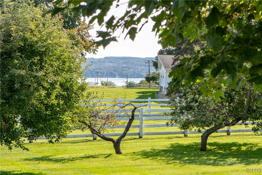 881 Andrews Road Skaneateles, NY 13152 - Photo 31 of 47 Views of Skaneateles Lake