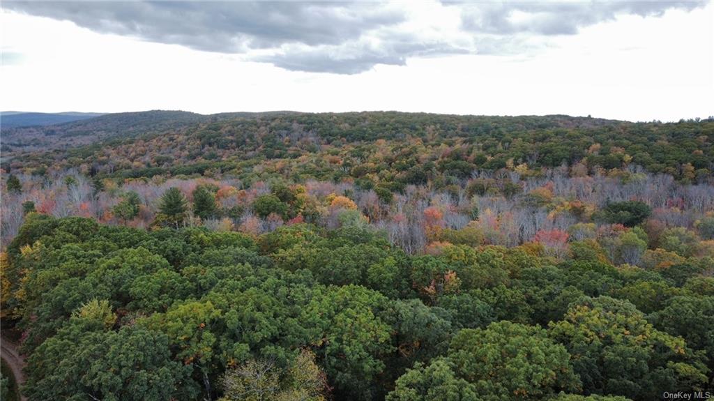 3 Hill Road Austerlitz, NY 12017 - Photo 12 of 20