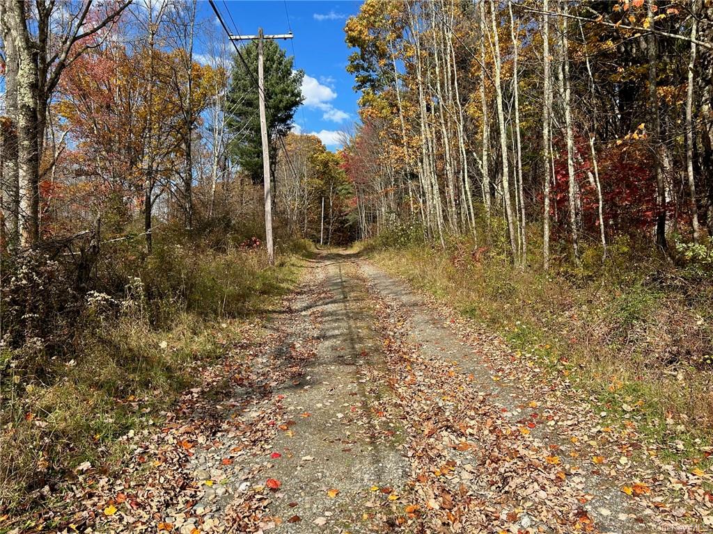 3 Hill Road Austerlitz, NY 12017 - Photo 16 of 20