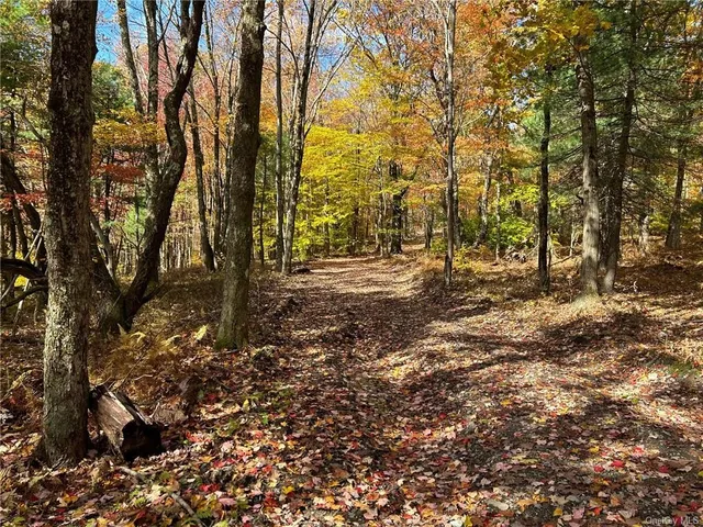 $2,300,000 | 3 Hill Road, Austerlitz, NY 12017