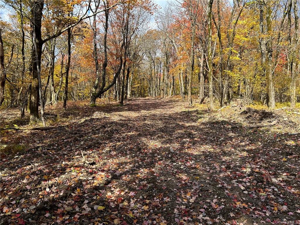 3 Hill Road Austerlitz, NY 12017 - Photo 5 of 20