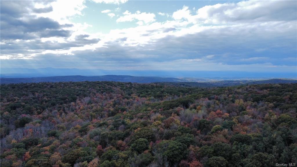 3 Hill Road Austerlitz, NY 12017 - Photo 10 of 20