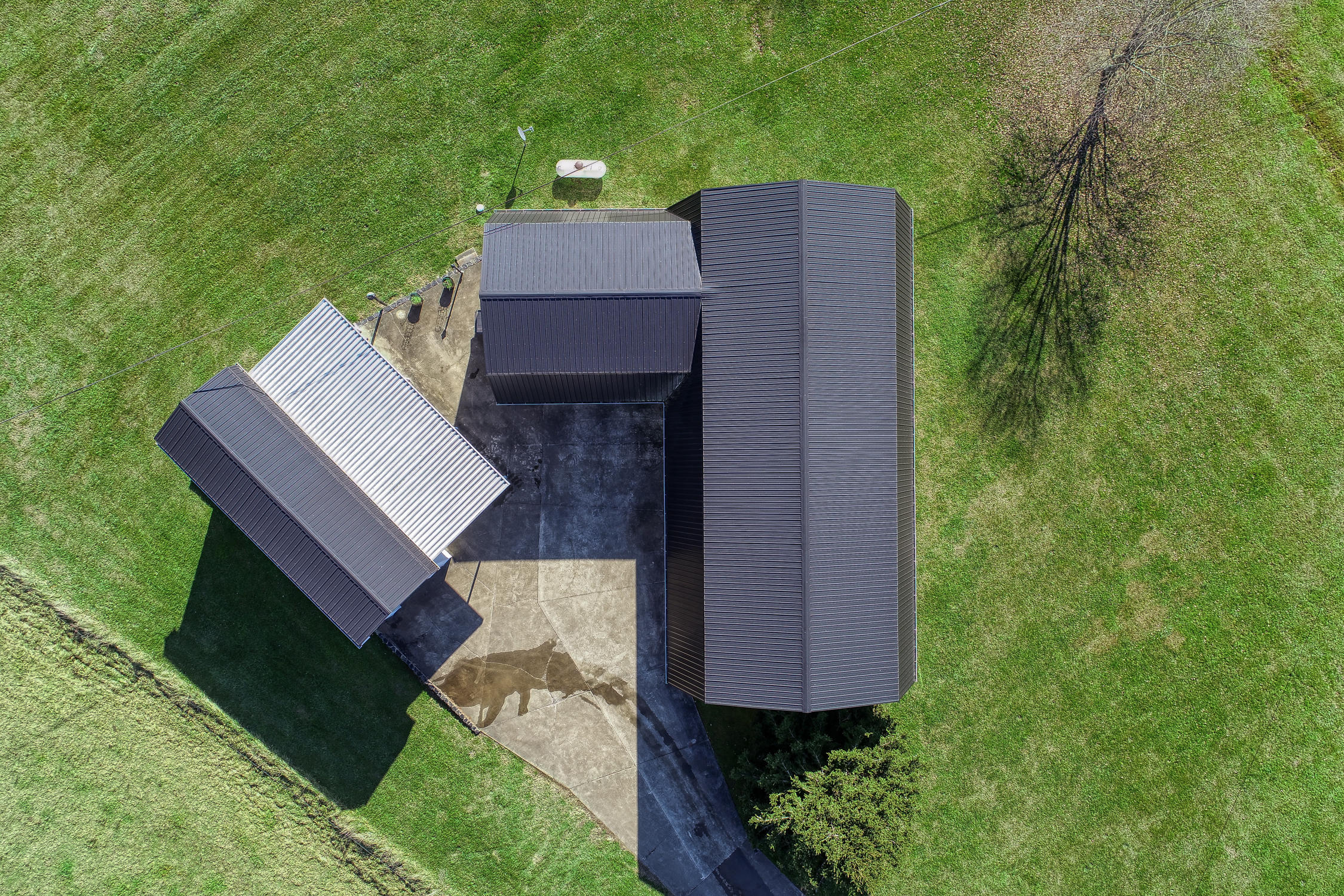 397 Mt Pleasant Road Greeneville, TN 37743 - Photo 36 of 85 L.Cutshaw. 397 Mt. Pleasant. Gvl MLSa (