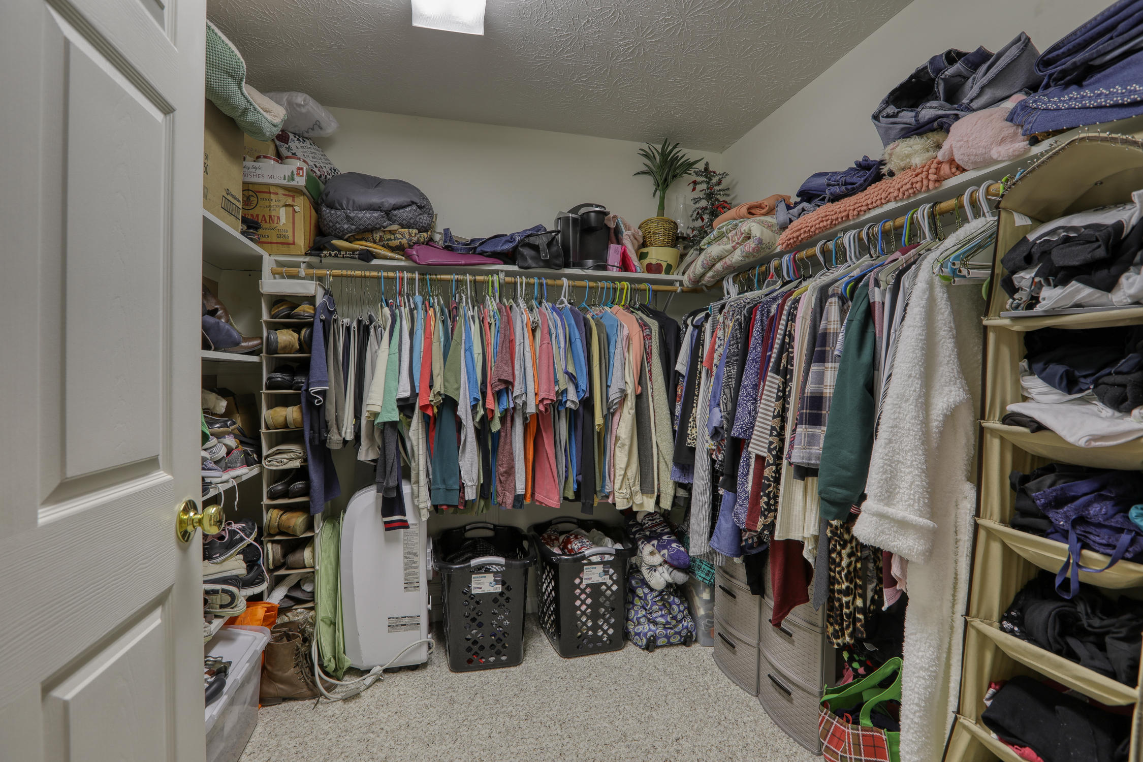 397 Mt Pleasant Road Greeneville, TN 37743 - Photo 78 of 85 L.Cutshaw. 397 Mt. Pleasant. Gvl MLSb (4