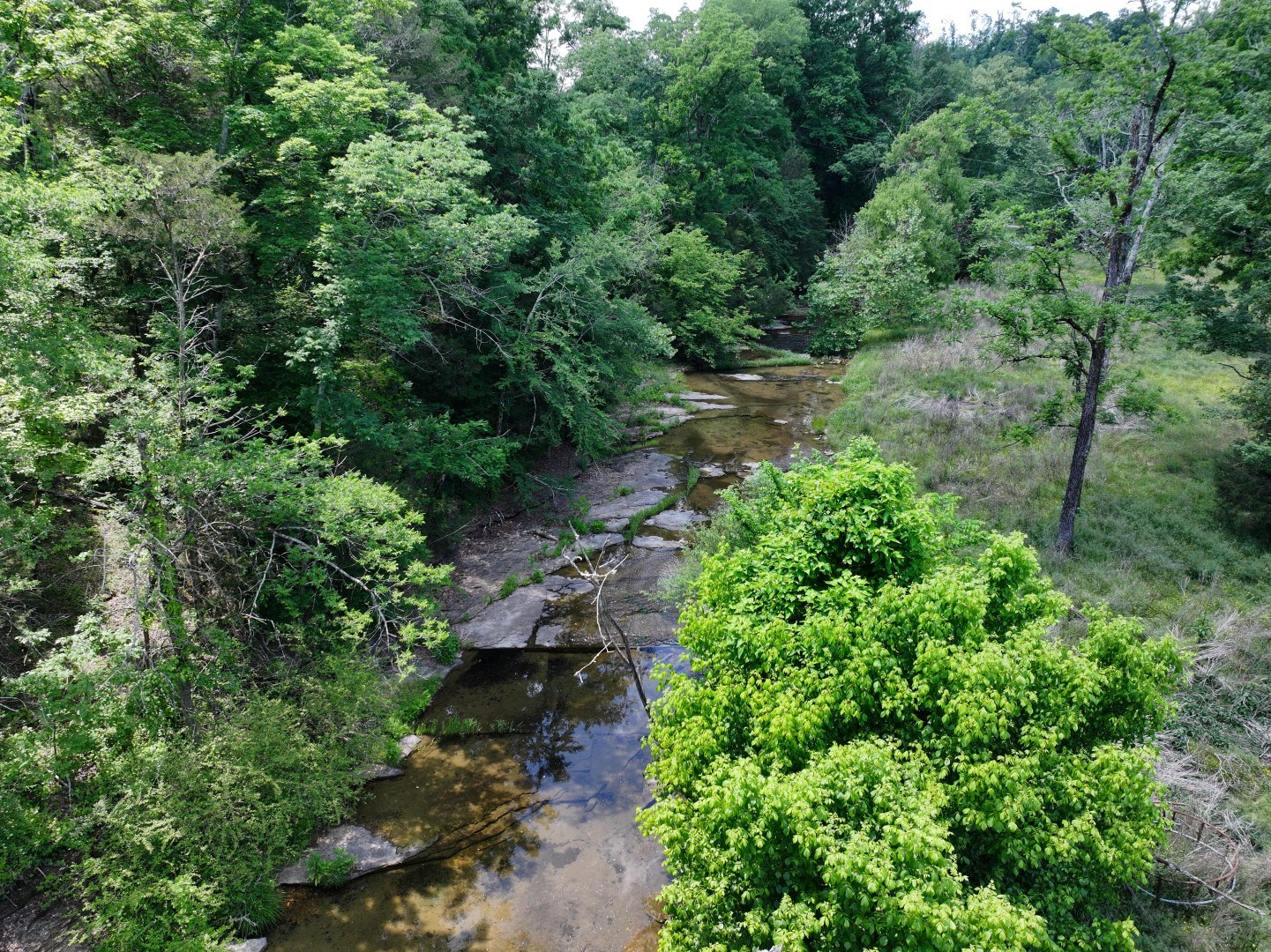 110 Wade Reed Road White Bluff, TN 37187 - Photo 47 of 80