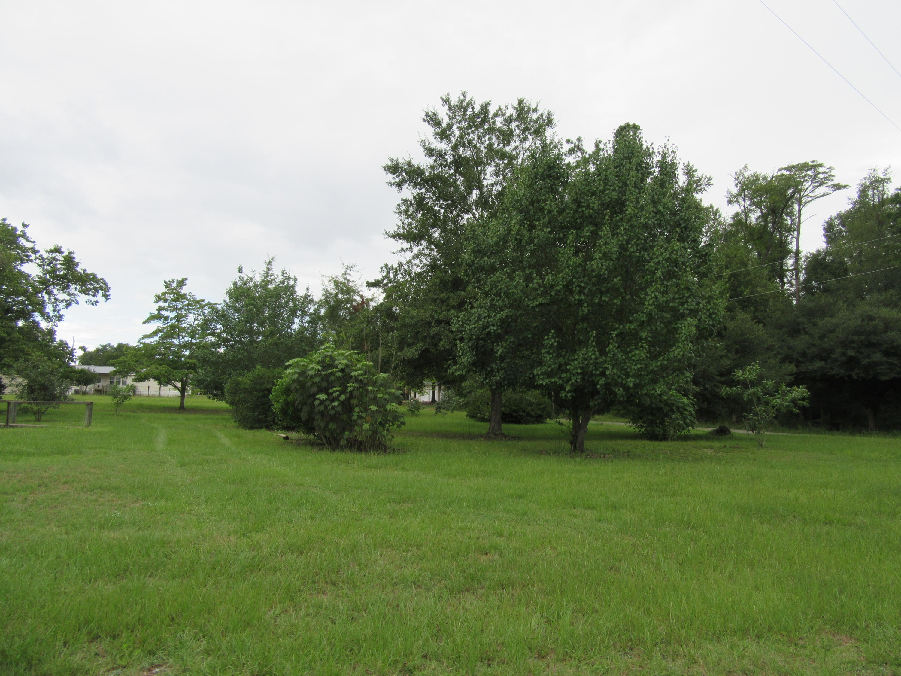 1008 Groomstown Road Cross, SC 29436 - Photo 11 of 12 IMG_3714