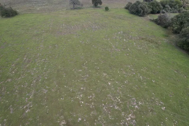 $220,000 | Tbd-b County Road 435, Frankston, TX 75763