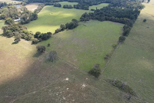 $220,000 | Tbd-b County Road 435, Frankston, TX 75763