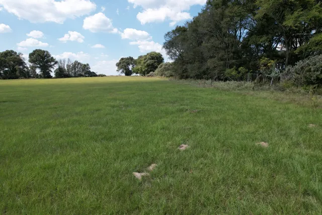$220,000 | Tbd-b County Road 435, Frankston, TX 75763