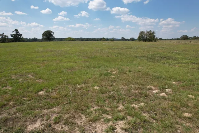 $220,000 | Tbd-b County Road 435, Frankston, TX 75763