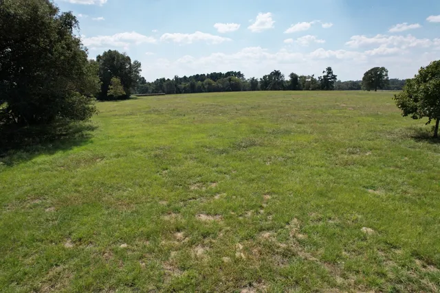 $220,000 | Tbd-b County Road 435, Frankston, TX 75763