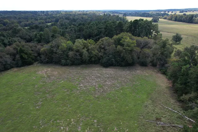 $220,000 | Tbd-b County Road 435, Frankston, TX 75763