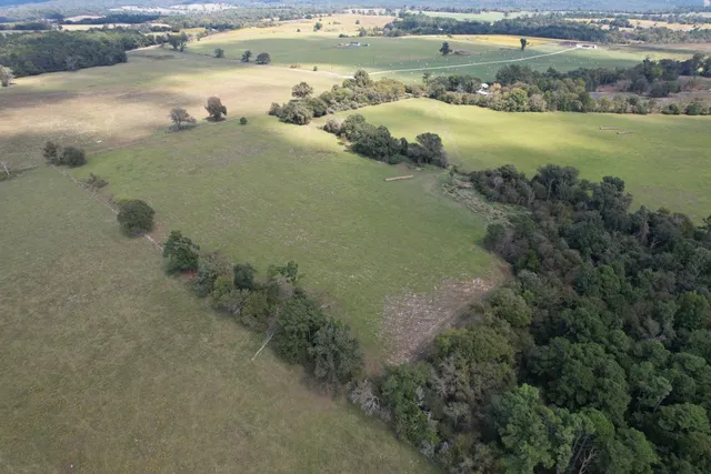 $220,000 | Tbd-b County Road 435, Frankston, TX 75763