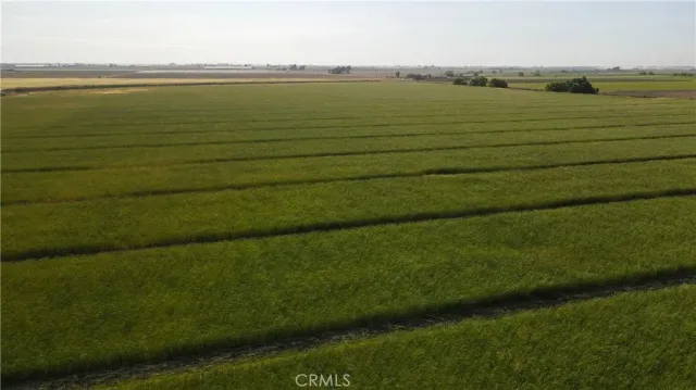 a view of an ocean from a yard