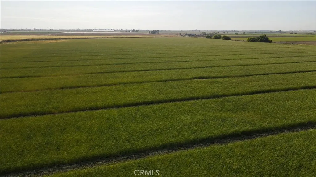 a view of an ocean from a yard