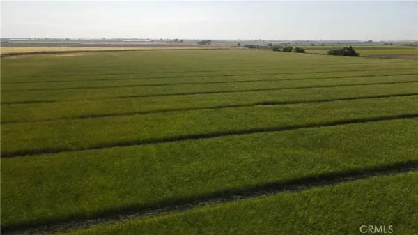 a view of an ocean from a yard
