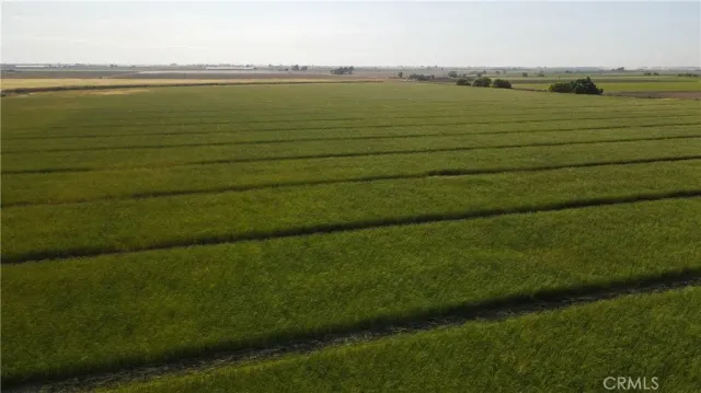 a view of an ocean from a yard