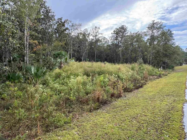 $20,000 | 44 Water Oak Way, St. Marks, FL 32355