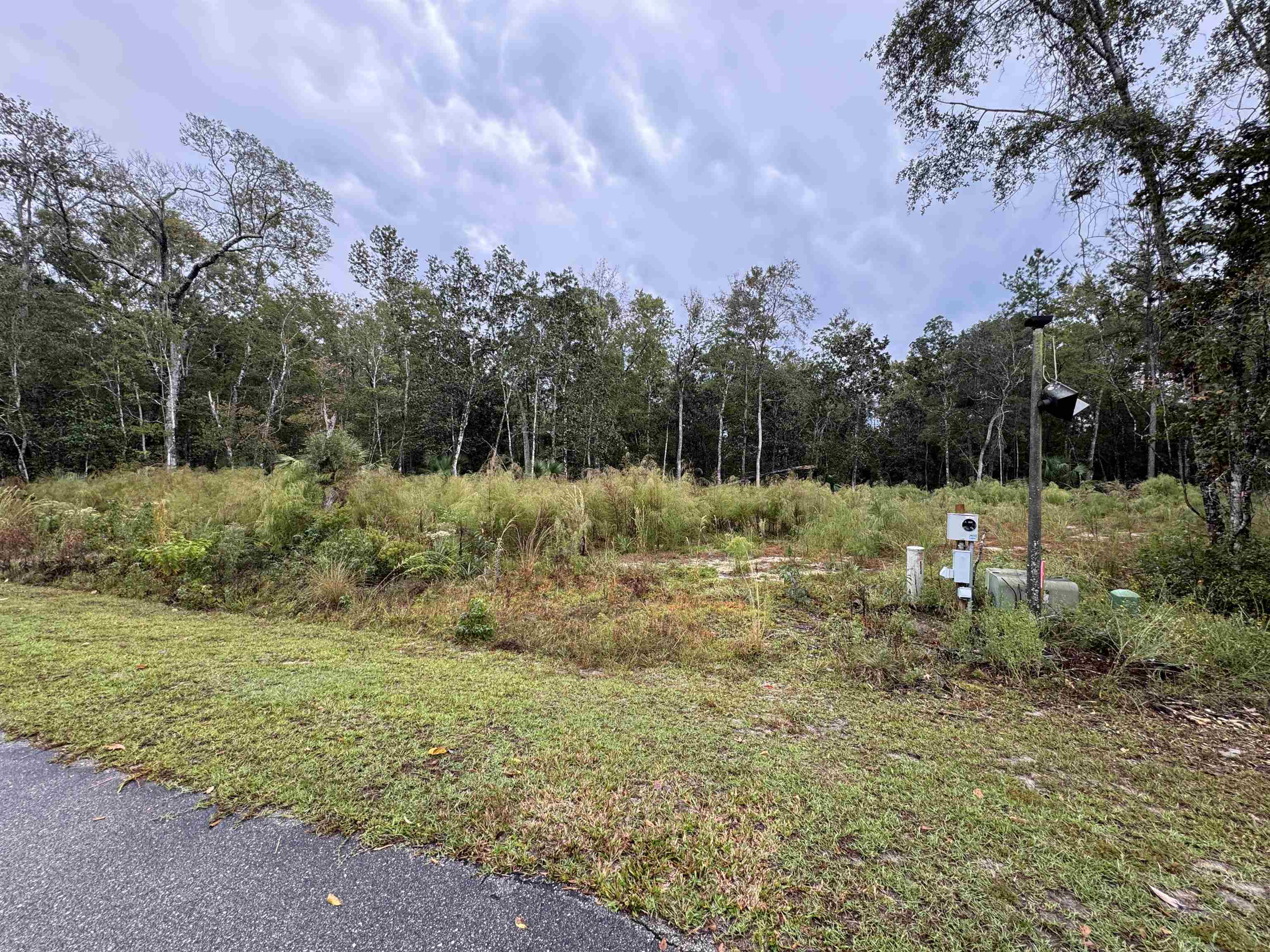 44 Water Oak Way St. Marks, FL 32355 - Photo 4 of 5