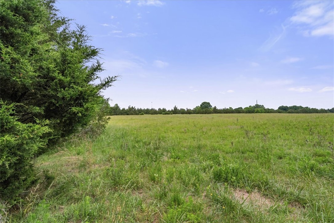 0 Highway 81 South Iva, SC 29655 - Photo 28 of 44 Pasture
