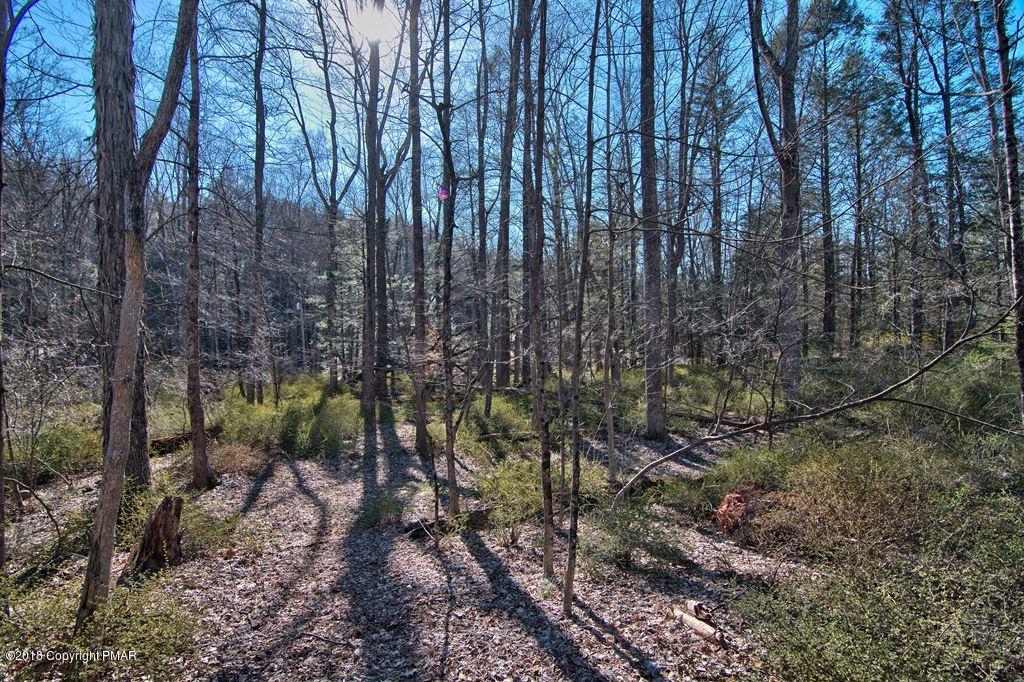 465 Pensyl Creek Road Stroudsburg, PA 18360 - Photo 53 of 80 Exterior View 13