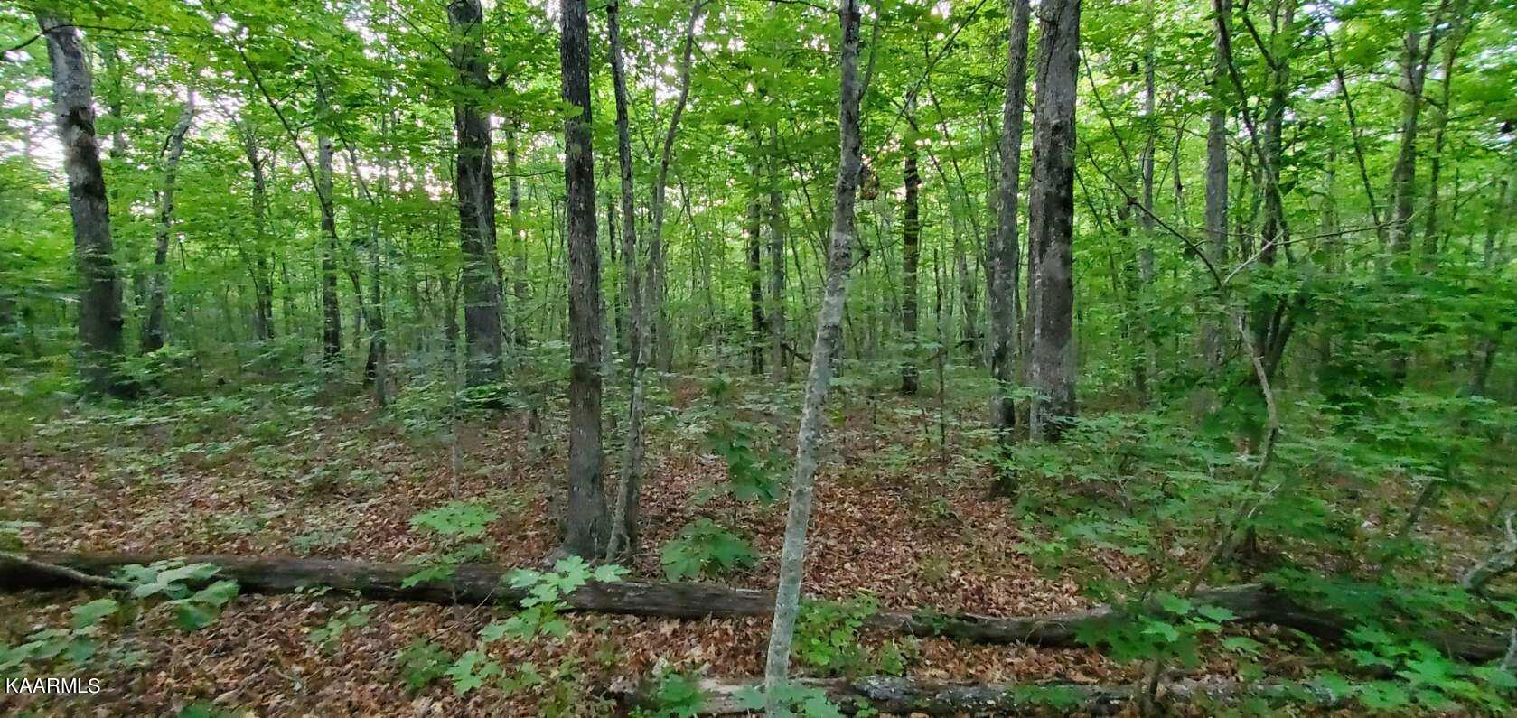 Resized_20230615_193027