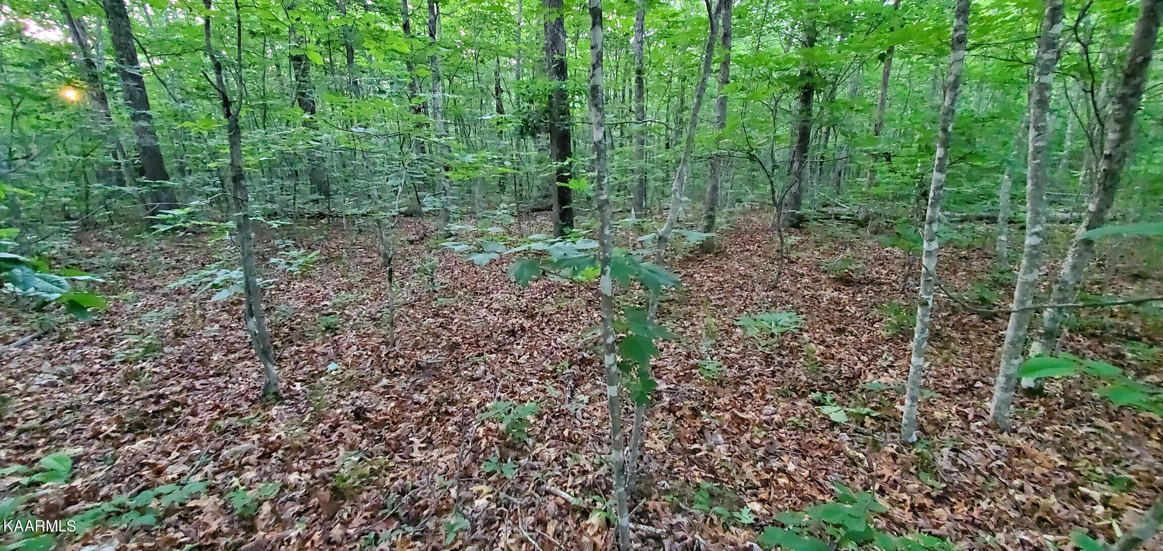 Halfway Road Monterey, TN 38574 - Photo 3 of 6 Resized_20230615_192938