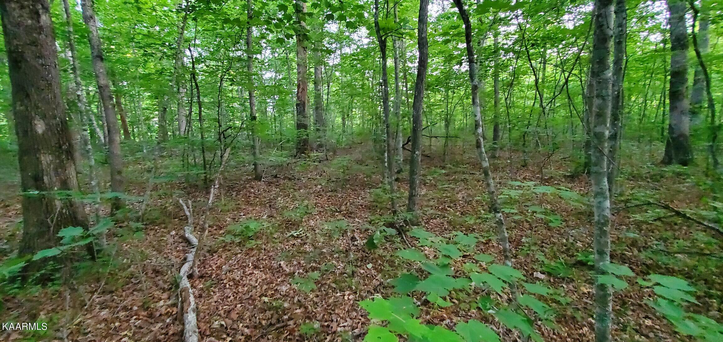 Halfway Road Monterey, TN 38574 - Photo 4 of 6 Resized_20230615_193133