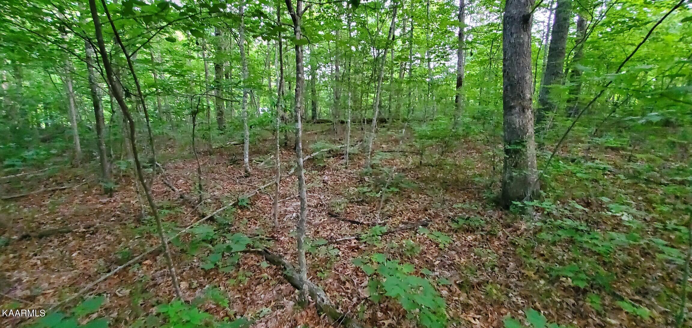 Halfway Road Monterey, TN 38574 - Photo 5 of 6 Resized_20230615_193154